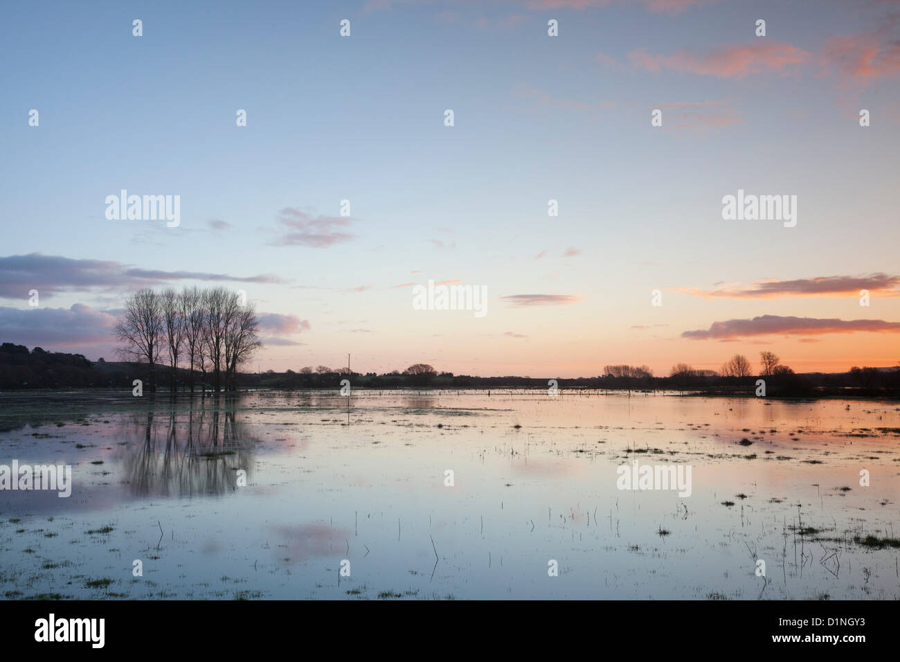 Holmebridge in der Nähe von Wareham, Dorset, UK. 1. Januar 2013.  Felder in der Nähe der Ortschaft Ost Holme weiterhin einen See nach einer weiteren Woche der schweren Regen, wie die nahe gelegenen Fluß Frome Überschwemmungen noch einmal aussehen. Bildnachweis: Eva Worobiec / Alamy Live News Stockfoto