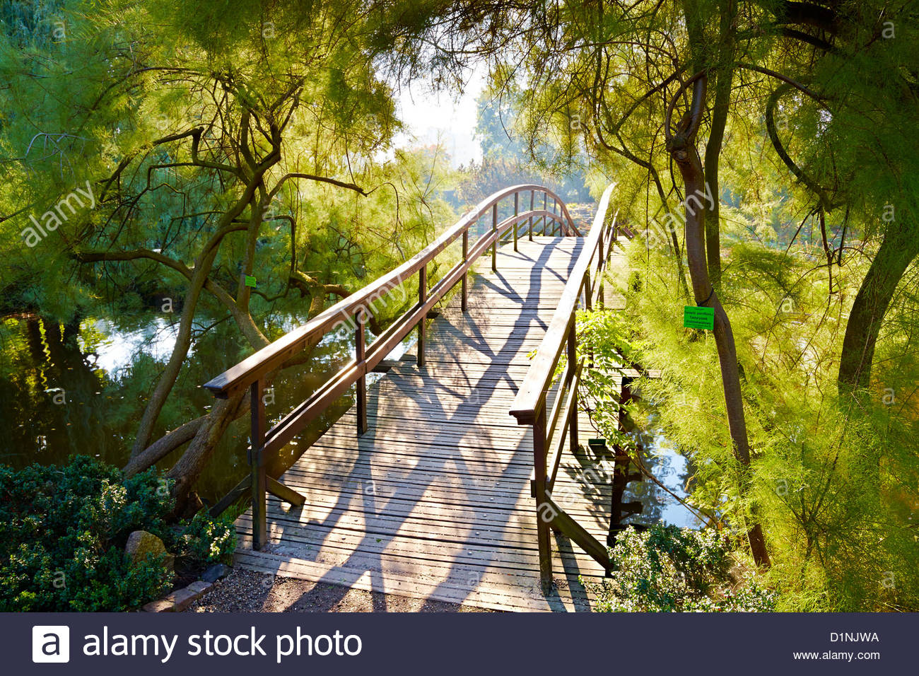 Japanische Brücke im Botanischen Garten in Breslau, Polen
