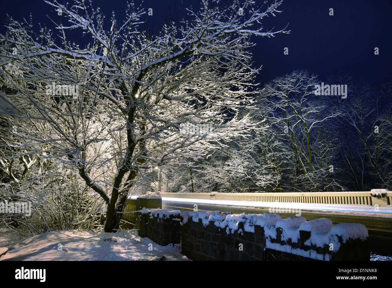 Schnee auf den Bäumen in der Nacht Stockfoto