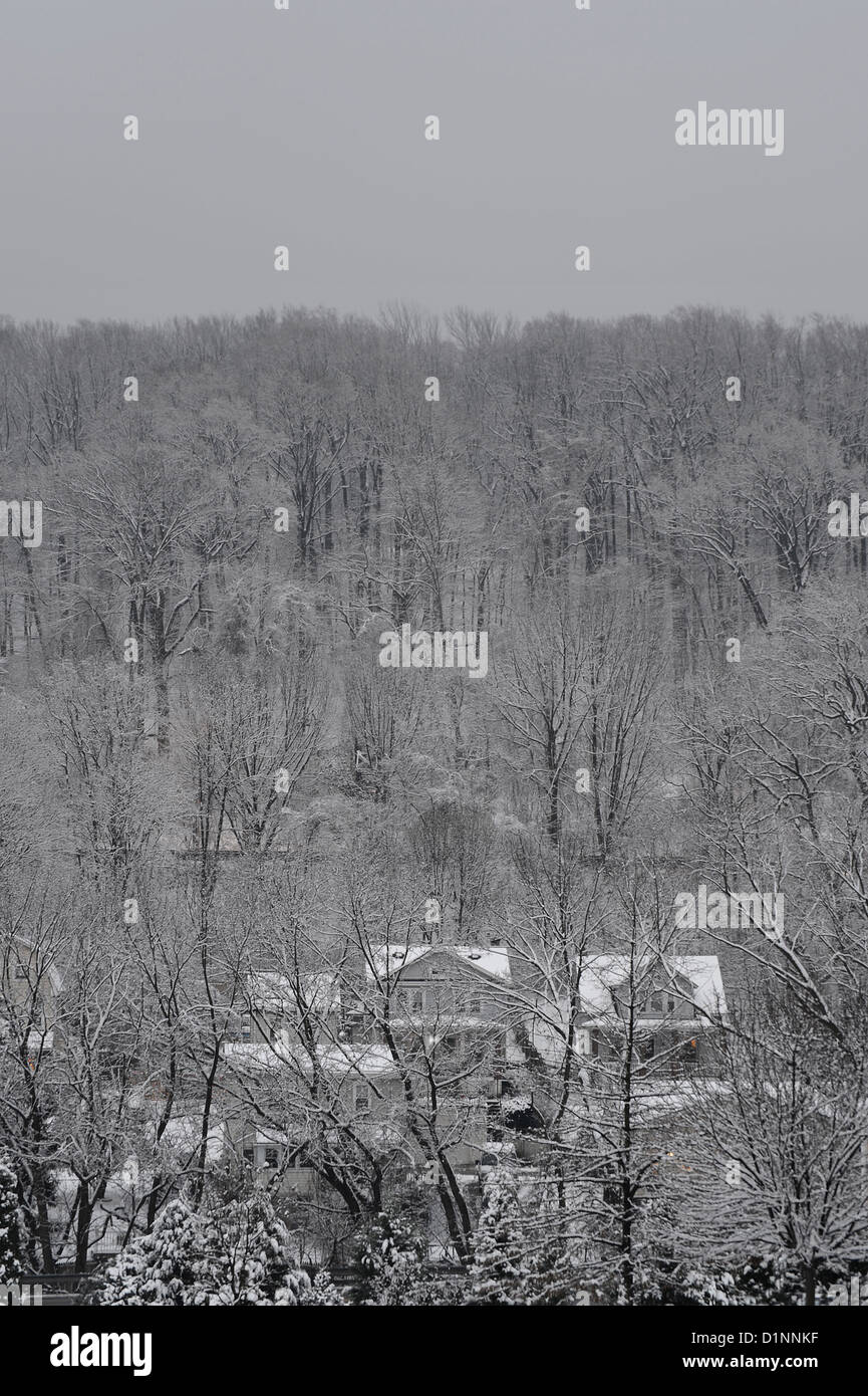 Schneebedeckte Bäume und Häuser, Winter-Szene, Pennsylvania, USA Stockfoto