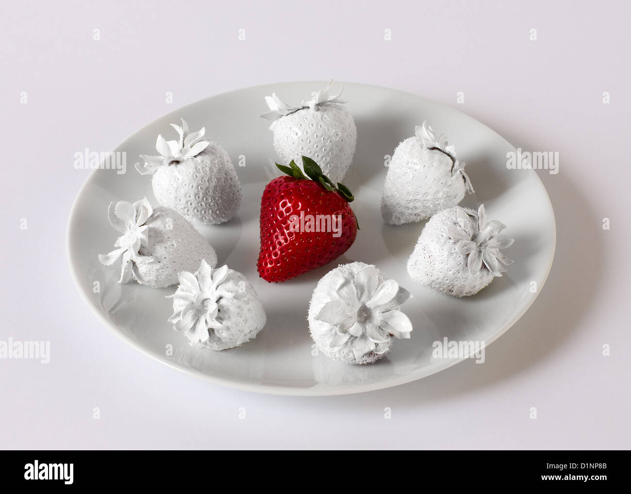 Eine rote Erdbeere umgeben von weißen Erdbeeren auf einem weißen Teller. Stockfoto