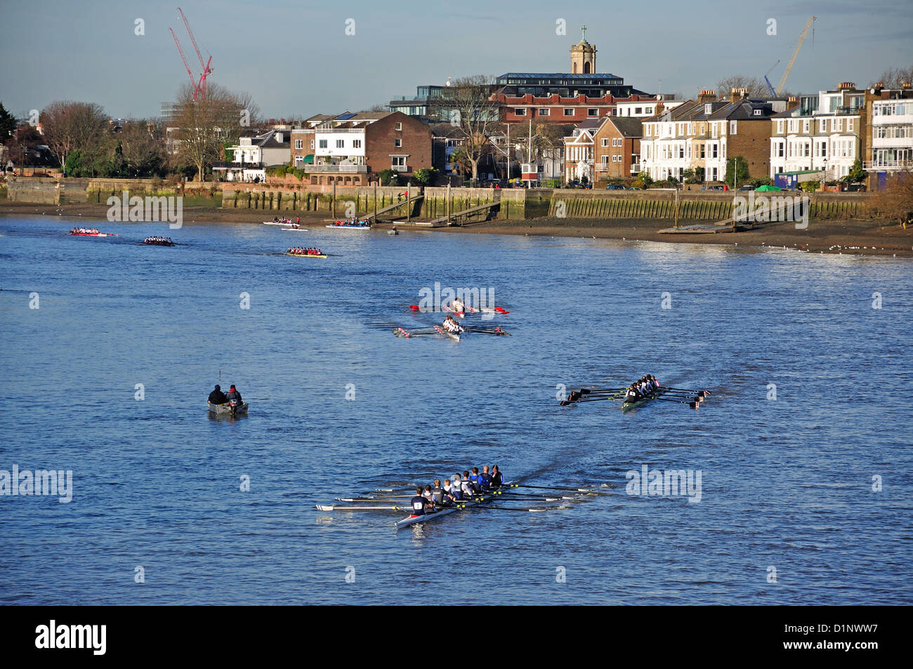 Ruder-Rennen auf der Themse, Hammersmith, London Borough of Hammersmith und Fulham, Greater London, England, Vereinigtes Königreich Stockfoto