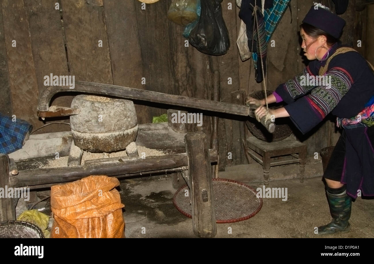 Frau Schwarz Dao mahlt Korn in ihrem Haus in einem Bergdorf in der Nähe von Sapa, Vietnam. Stockfoto