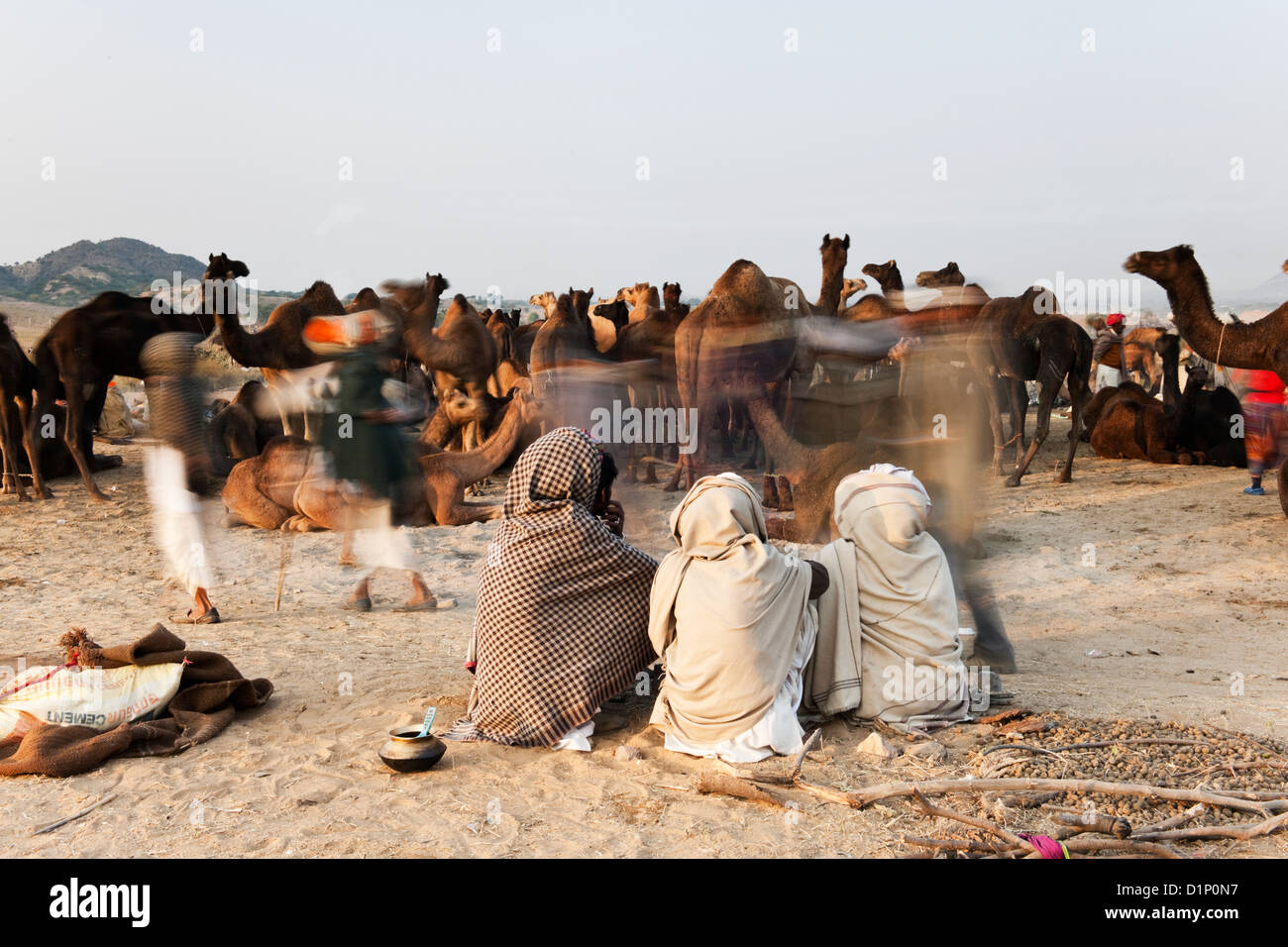Kamel Händler sitzen auf dem Boden beobachten ihre Kamele bei der jährlichen Messe in Pushkar Rajasthan Indien camel Stockfoto