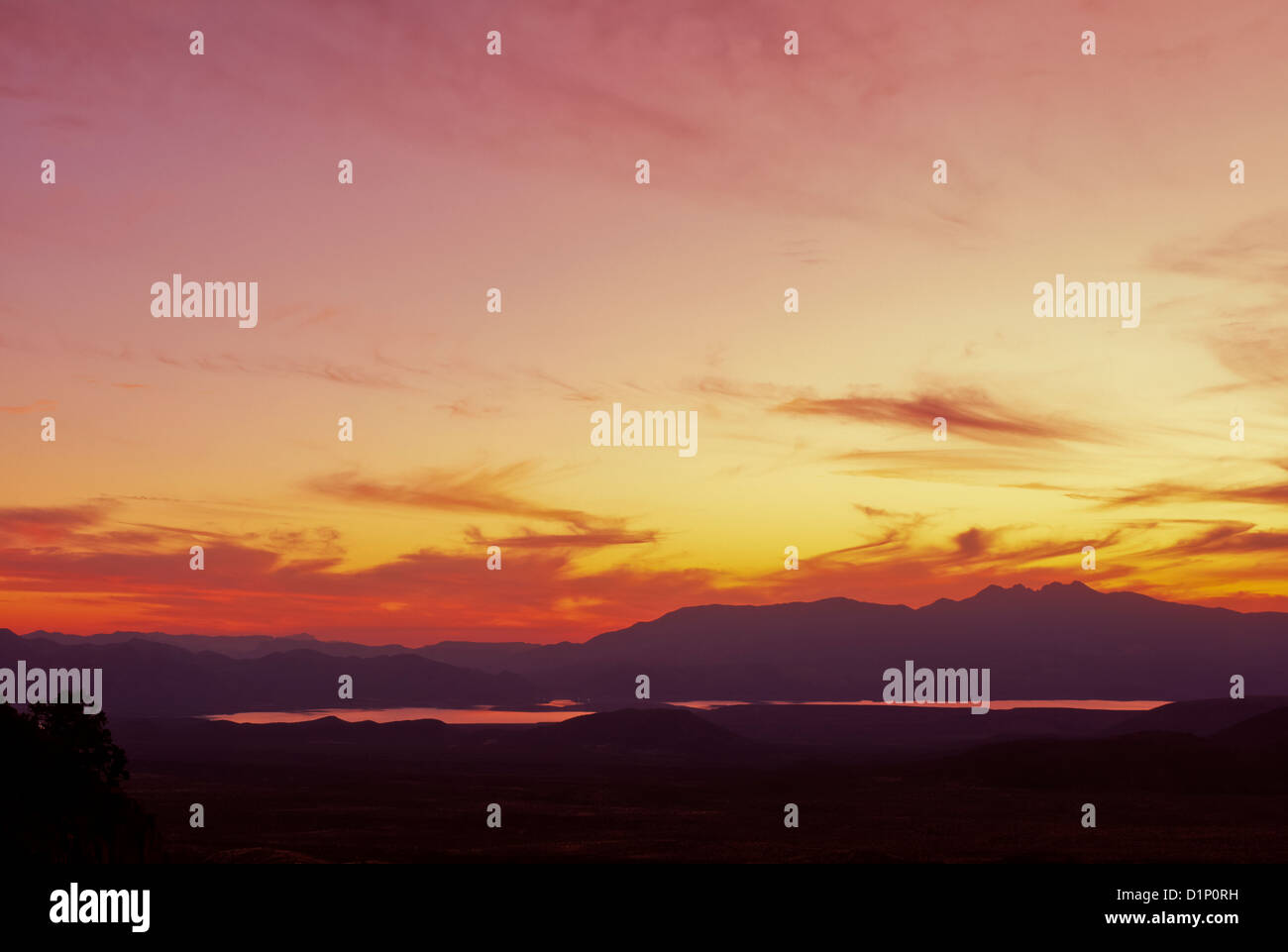 Fantastische Farben von Sonnenaufgang / Sonnenuntergang über der Sonora-Wüste von Arizona. Amerika, USA. Stockfoto