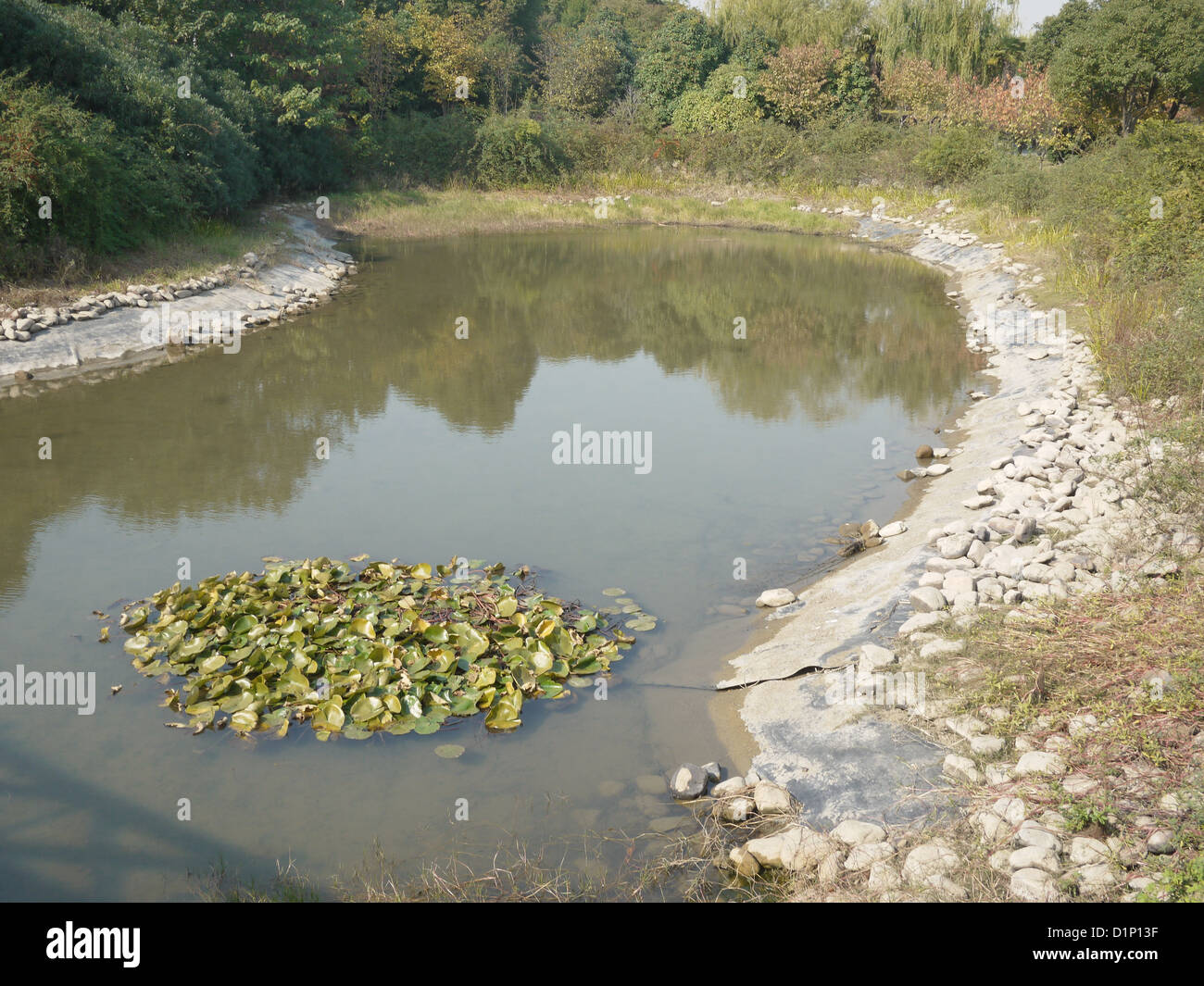 kleine Wasser Teich Wetland Park Vegetation Boden Stockfoto