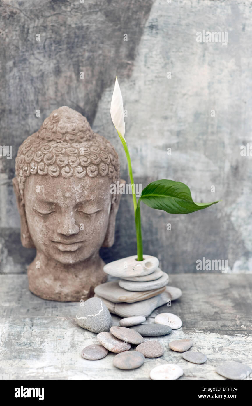 Stein Buddha Kopf Skulptur fotografiert mit einer weißen Blume und Steinen. Stockfoto