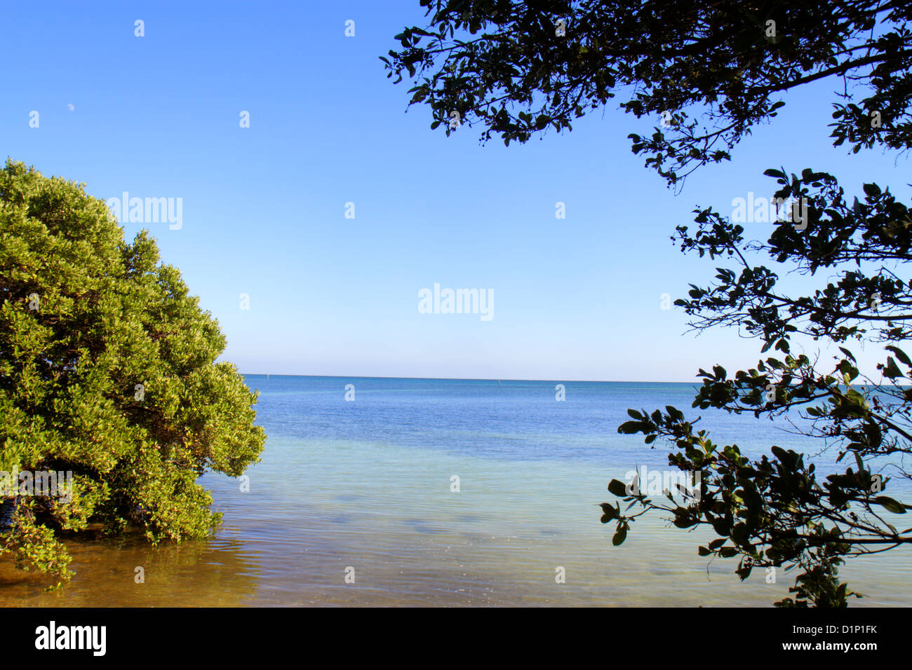 Florida Florida Keys, Lower Matecombe Key, US Highway Route 1 One, Overseas Highway, Islamorada, Florida Keys National Marine Sanctuary, Anne's Beach, Atlant Stockfoto