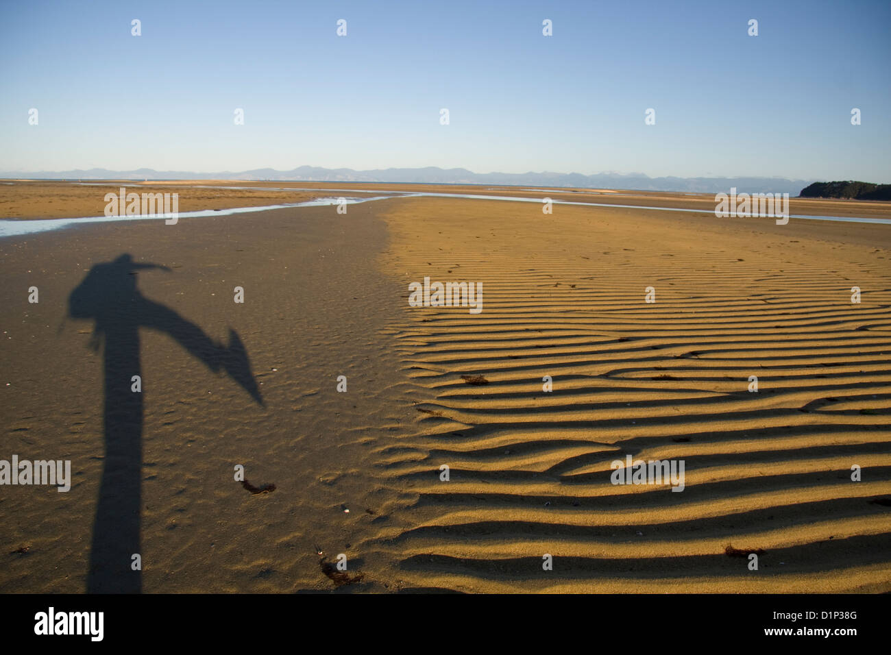 Der Schatten eines Touristen auf der Küstenstraße Track im Abel Tasman National Park. Stockfoto
