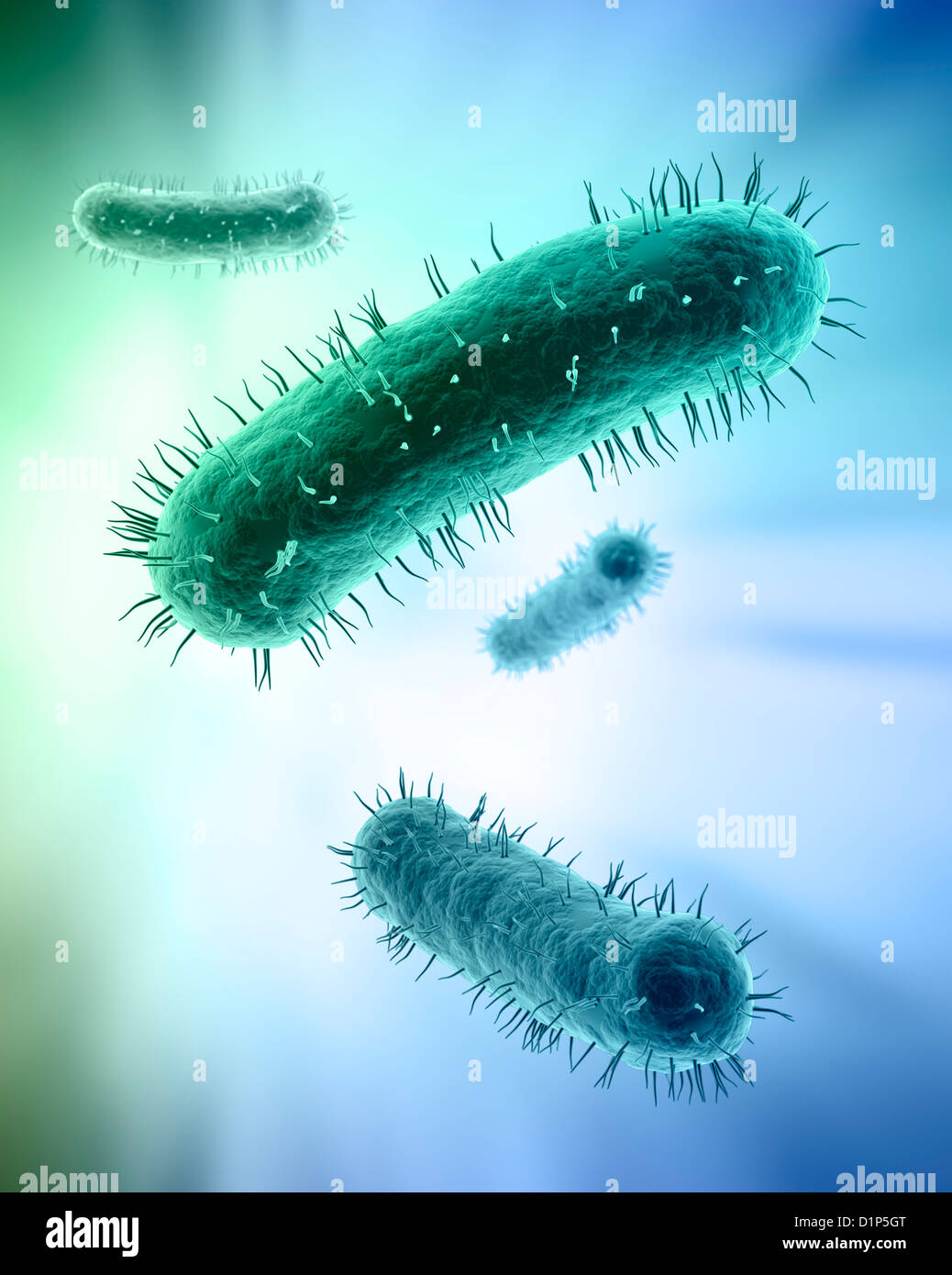 Bakterien, artwork Stockfoto