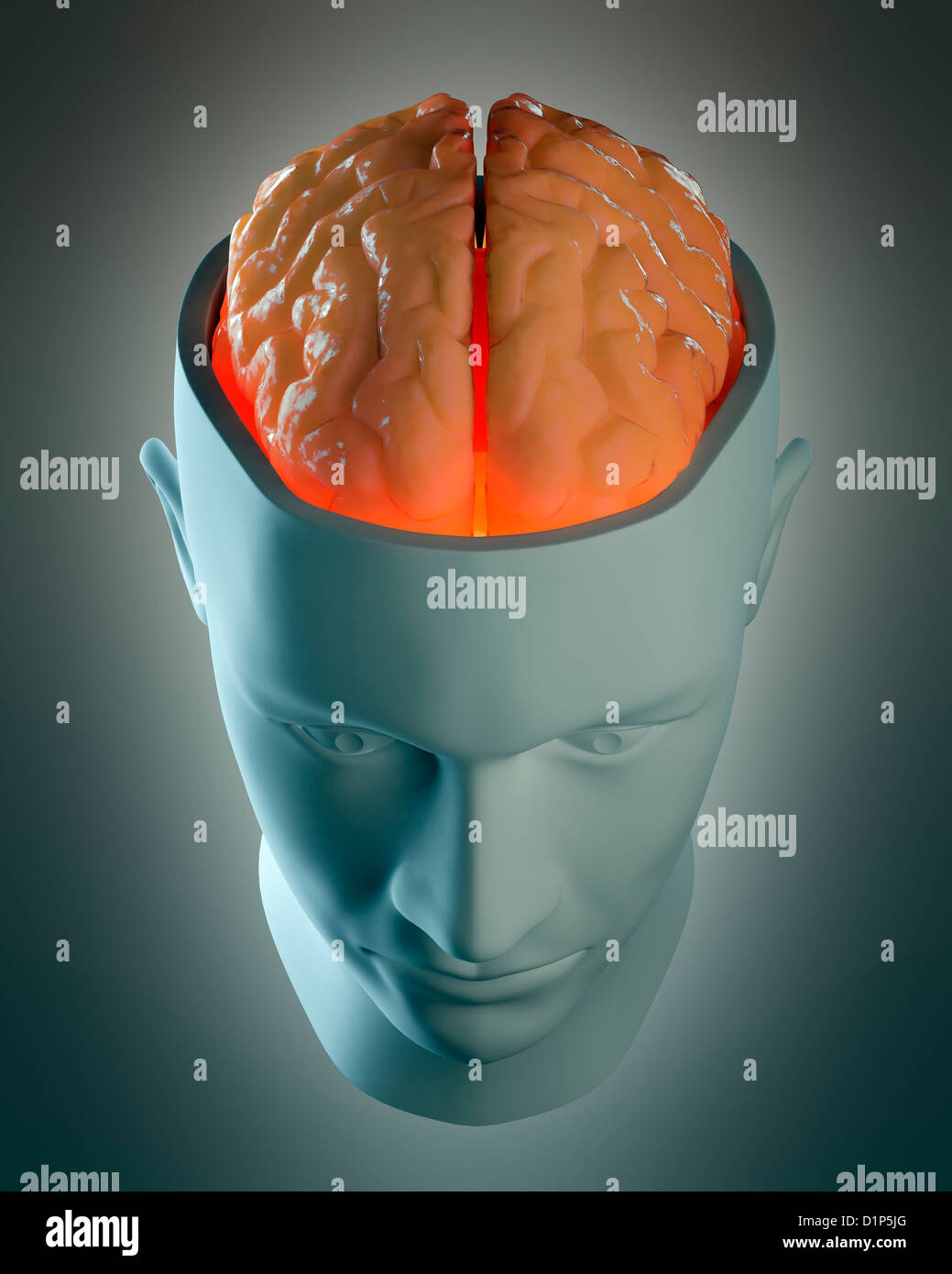 Menschliche Gehirn, artwork Stockfoto