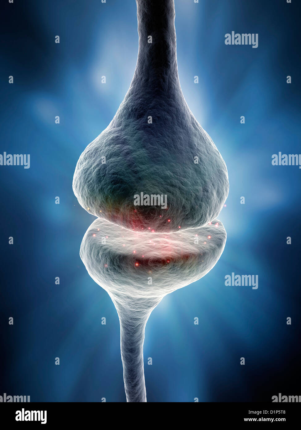 Synapse, artwork Stockfoto