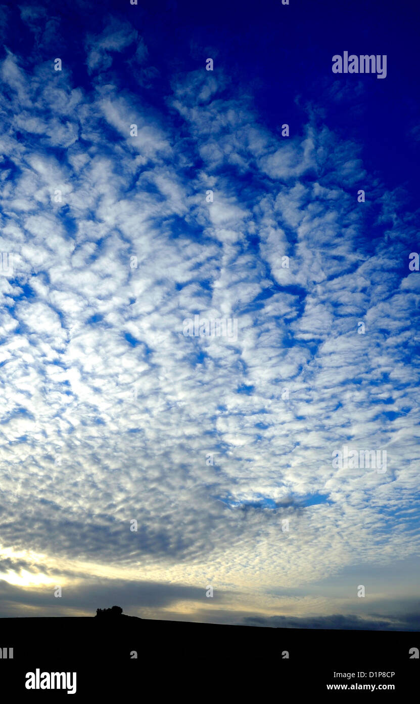 Spät am Abend Sonnenuntergang über einem Land mit einem tiefblauen Himmel und weiße Wolken. Ein verfallenes landwirtschaftliches Gebäude auch am Horizont. Stockfoto