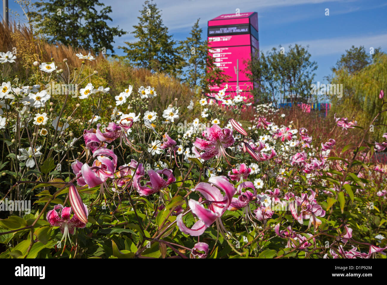 Die Olympic Park, London 2012, Lilien im asiatischen Garten Stockfoto