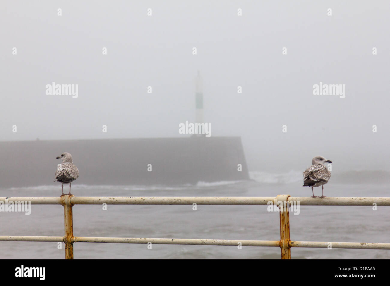 Aberystwyth, Wales, UK, 2. Januar 2013. Das triste Wetter an der Westküste von Wales weiter ins neue Jahr. Nach Starkregen, Überschwemmungen, stürmischer See ist die Mitte Wales Küste im schweren Nebel gehüllt.  Bildnachweis: atgof.co / Alamy Live News Stockfoto