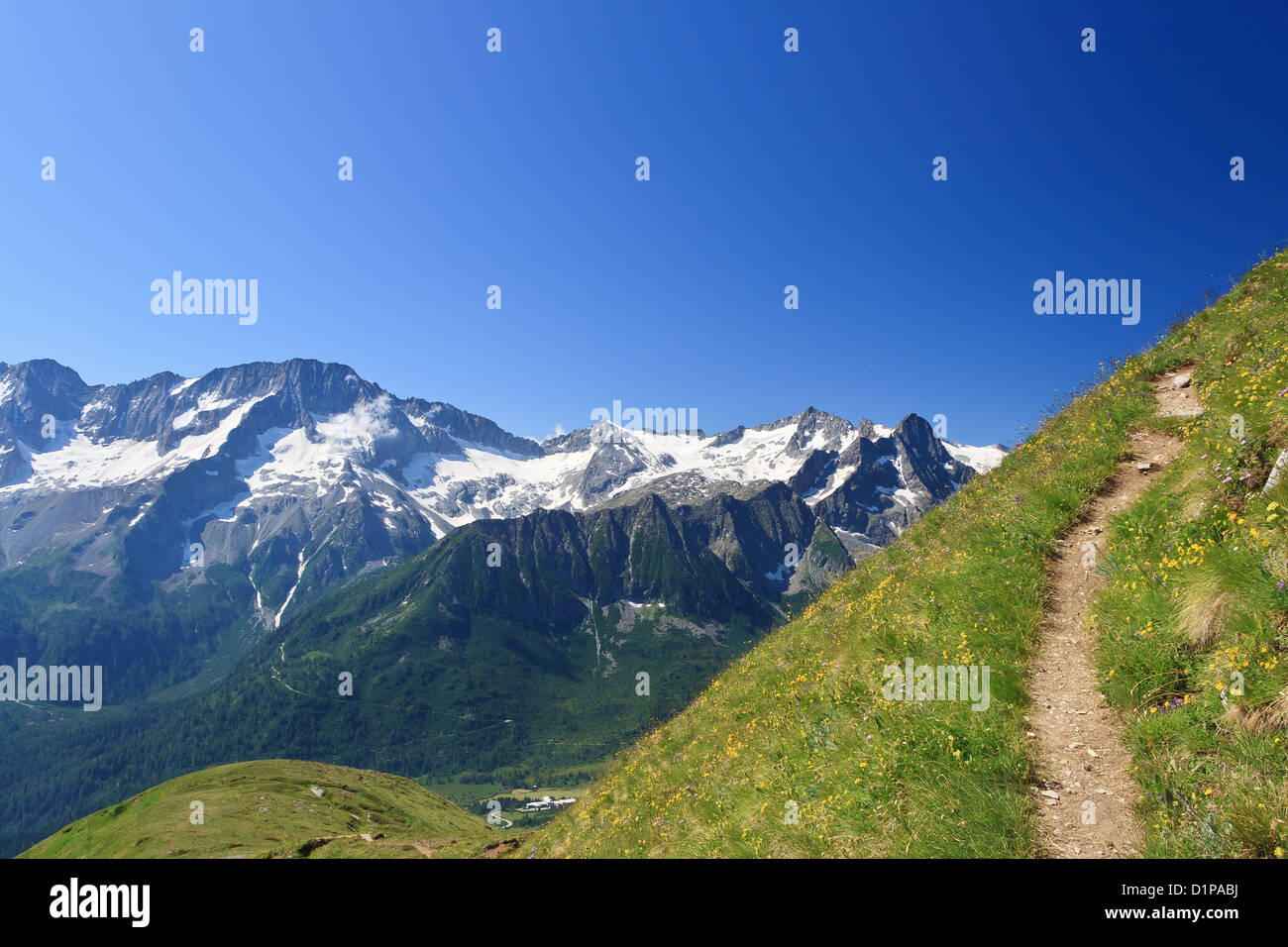 alpiner Steig im Sommer über Tonale Pass. Auf dem Hintergrund Presena Berg, Trentino, Italien Stockfoto