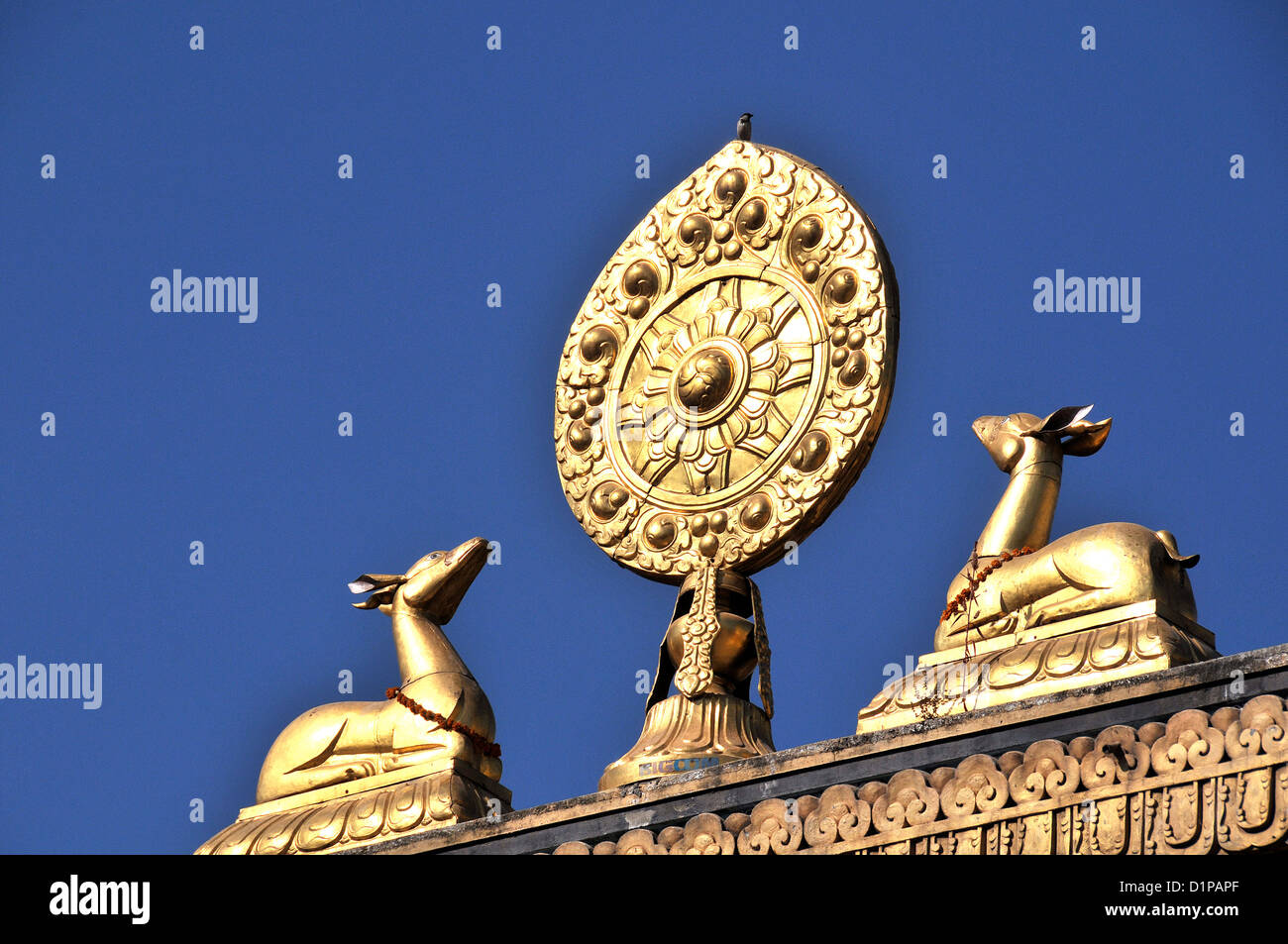 Die Boudhanath Rad des Dharma-Rad des Gesetzes und Hirsche Bodhnath Nepal Stockfoto