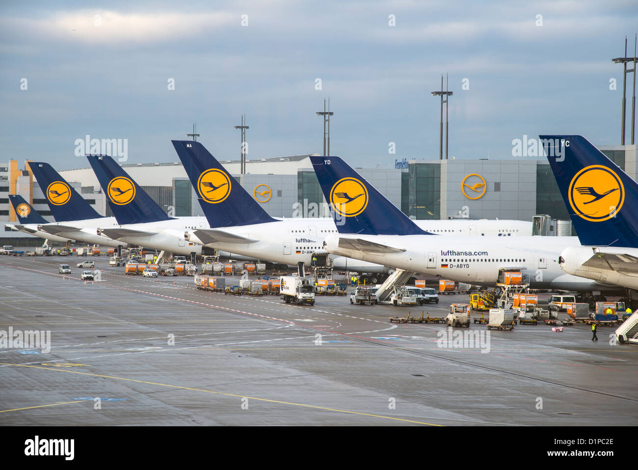 Lufthansa-Flugzeuge am Flughafen Frankfurt, Frankfurt am Main, Hessen, Deutschland Stockfoto