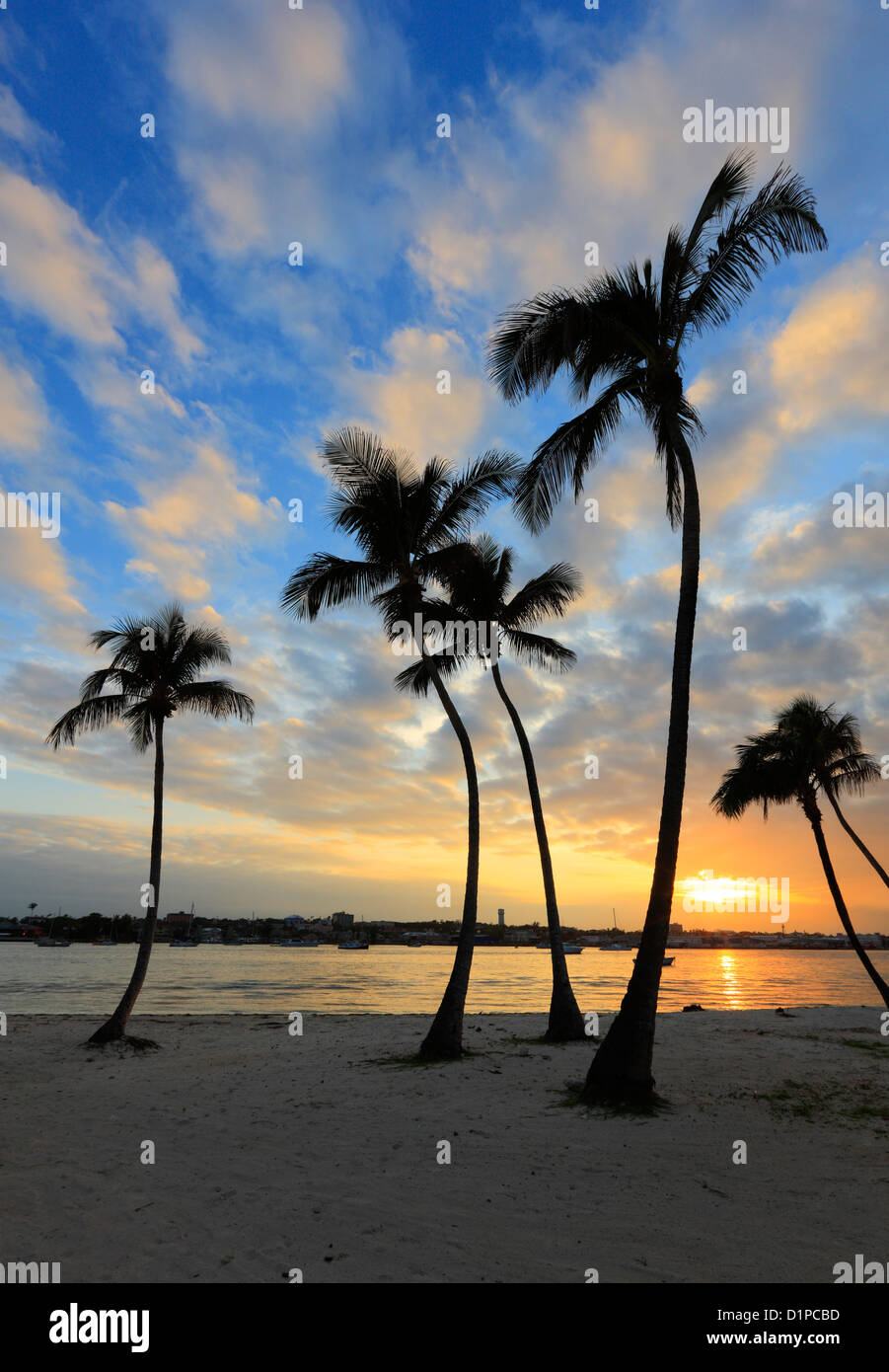 Sonnenuntergang mit Palmen. Strand in Nassau, Bahamas, Karibik. Stockfoto