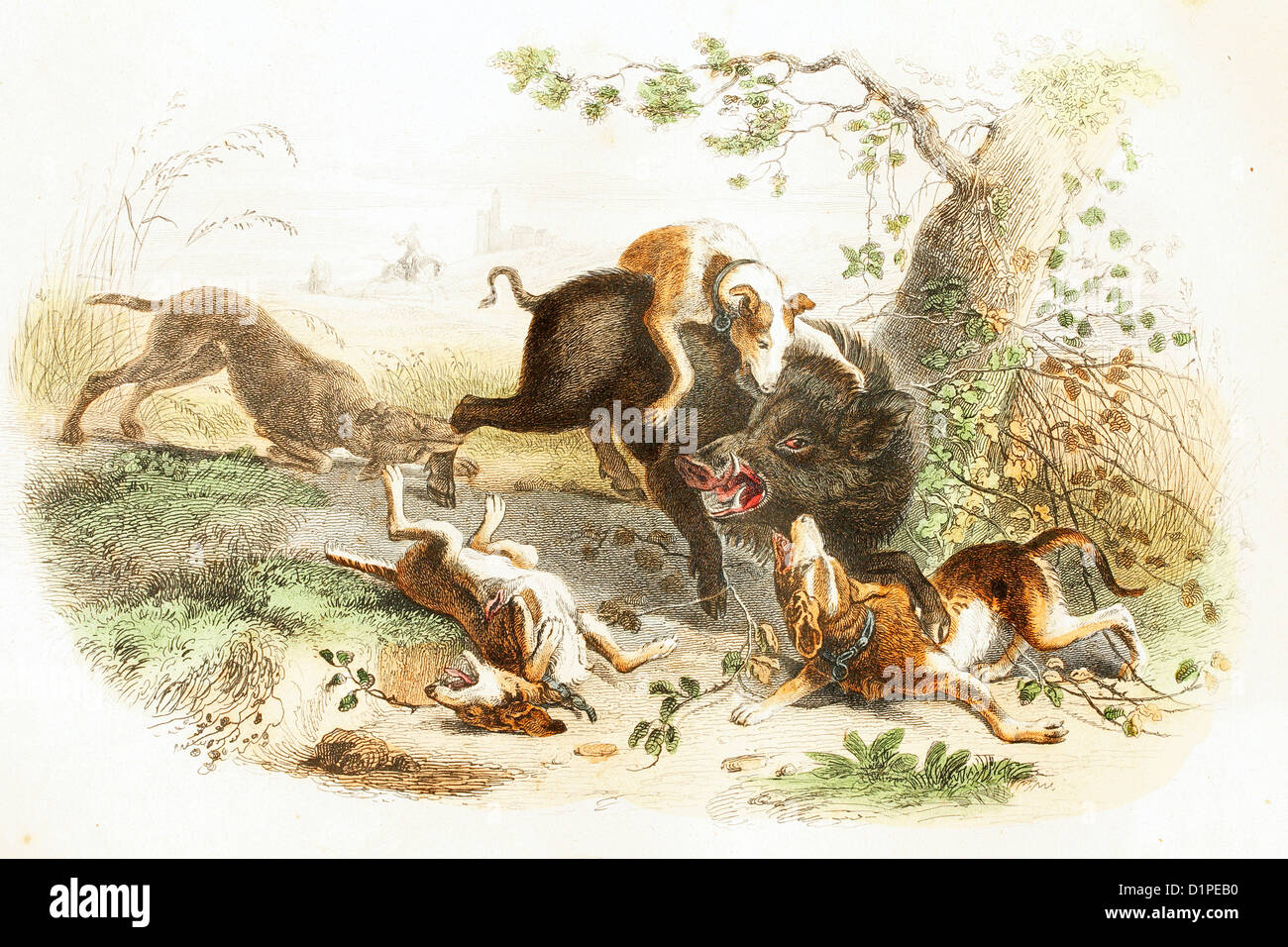 Wildschwein mit einem Rudel Hunde. Antike Darstellung, 1856. Stockfoto