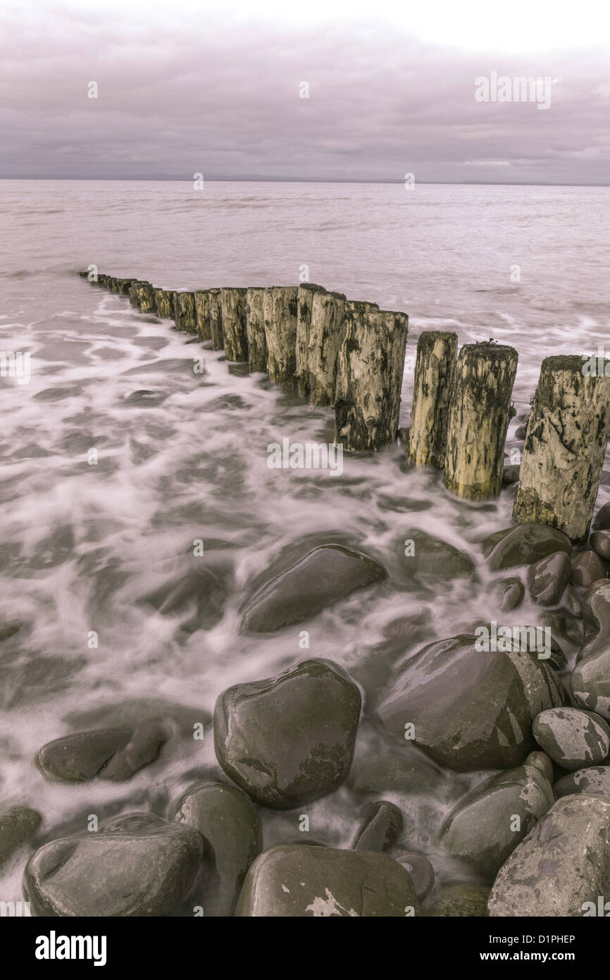 Holz-Meer Abwehrkräfte (Buhnen) Porlock Bucht, Porlock, Somerset, England UK Stockfoto