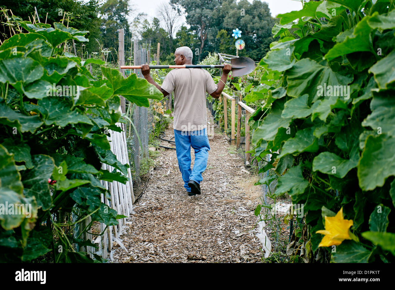 Schwarzer Mann zu Fuß mit Schaufel im Gemeinschaftsgarten Stockfoto