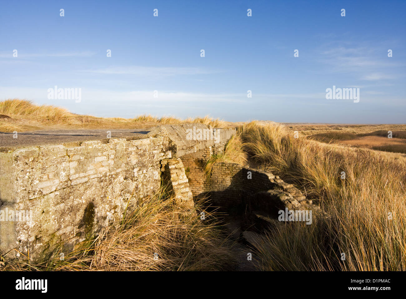 Alte Bunker, im zweiten Weltkrieg Teil der Atlantik Wand, in den Dünen der niederländischen Insel Terschelling. Stockfoto