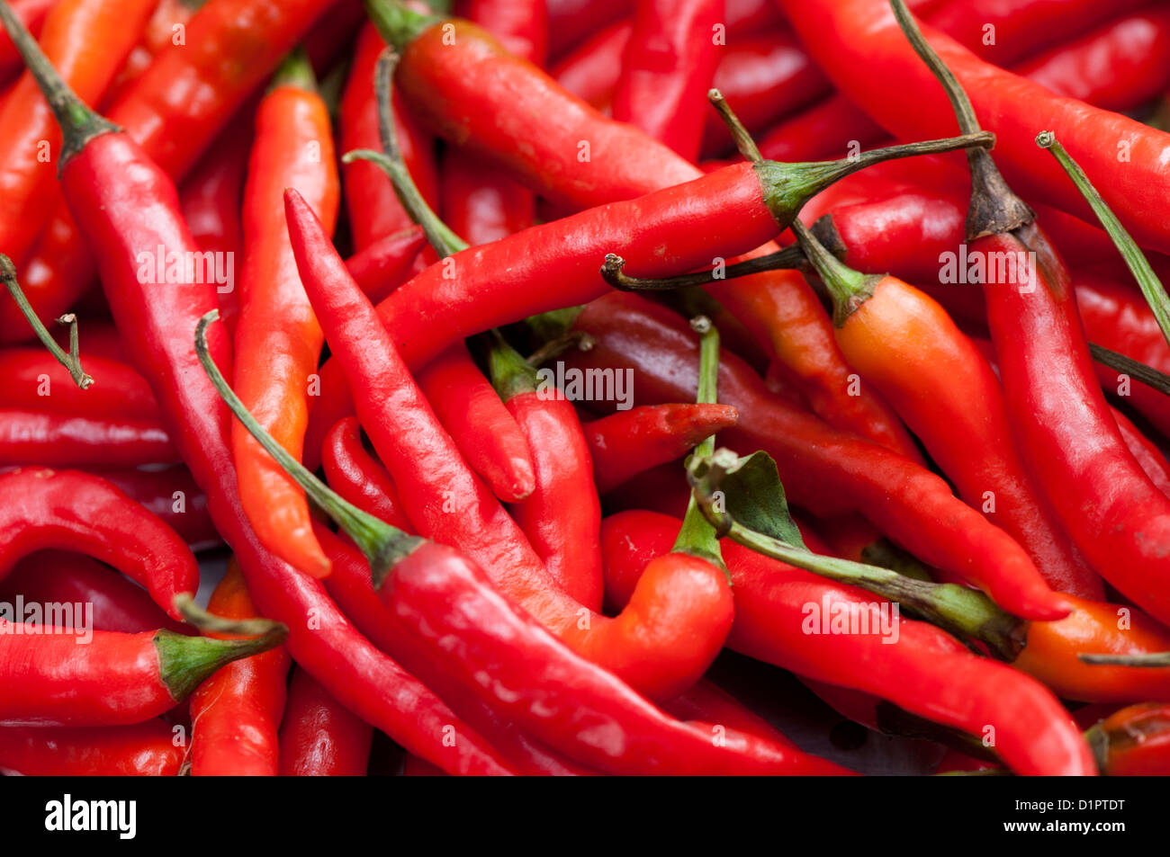 Red hot Chili hautnah Stockfoto
