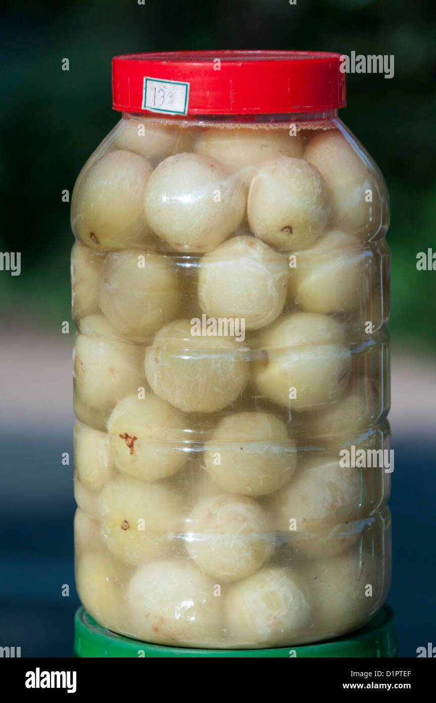 Stachelbeere Gurke im Glas zu verkaufen, Nahaufnahme Stockfoto