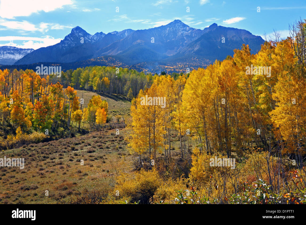 Sneffles Range, letzten Dollar Road, Ridgway, Colorado, USA Stockfoto