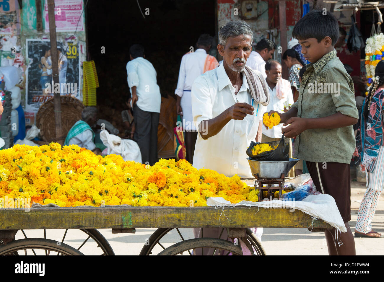 Indianerjunge Verkauf Ringelblume blüht von einem ein Cart für hindu Puja-Angebote. Andhra Pradesh, Indien Stockfoto