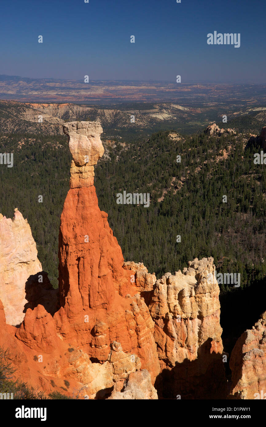 Hoodoo, Hunter, Agua Canyon, Bryce-Canyon-Nationalpark, Utah, USA Stockfoto