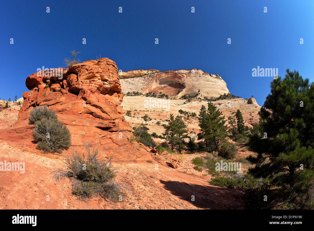 Landschaft des Zion Nationalpark, Utah, USA Stockfoto