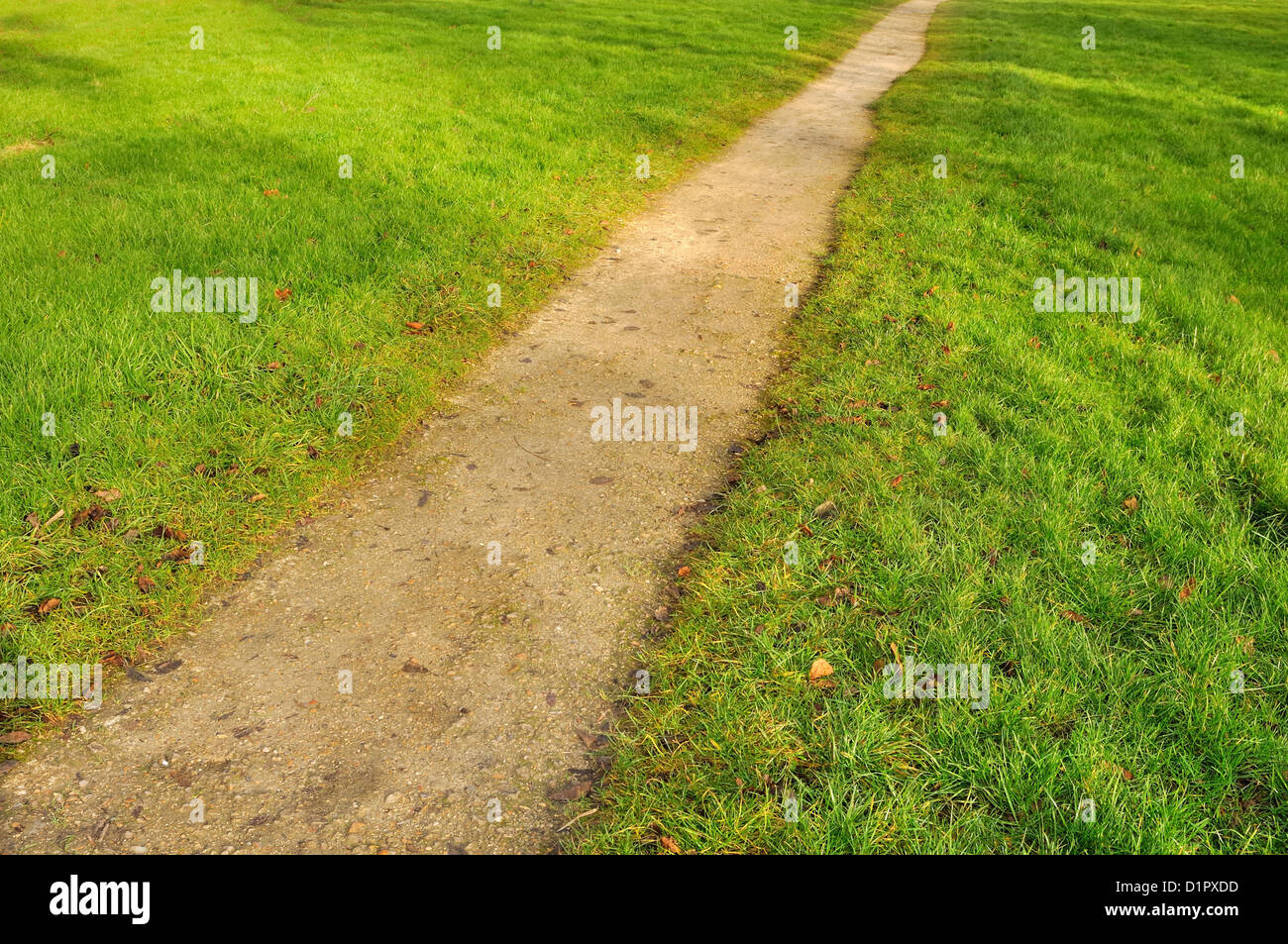 Fußweg durch einen Rasen Stockfoto