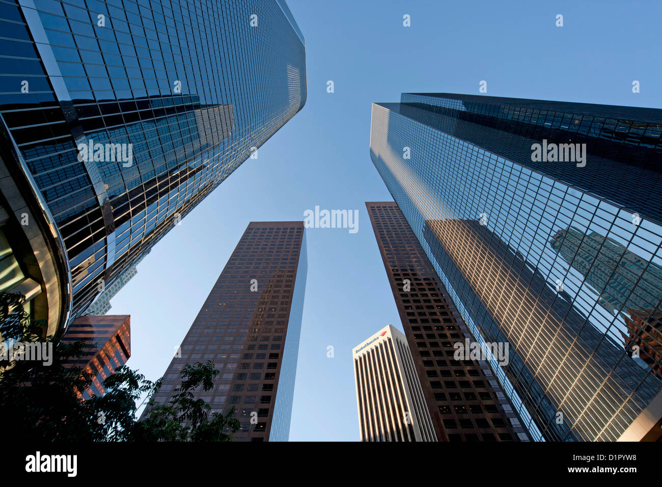 Wurm's – Blick auf Downtown Los Angeles Wolkenkratzer, California, United States of America, USA Stockfoto