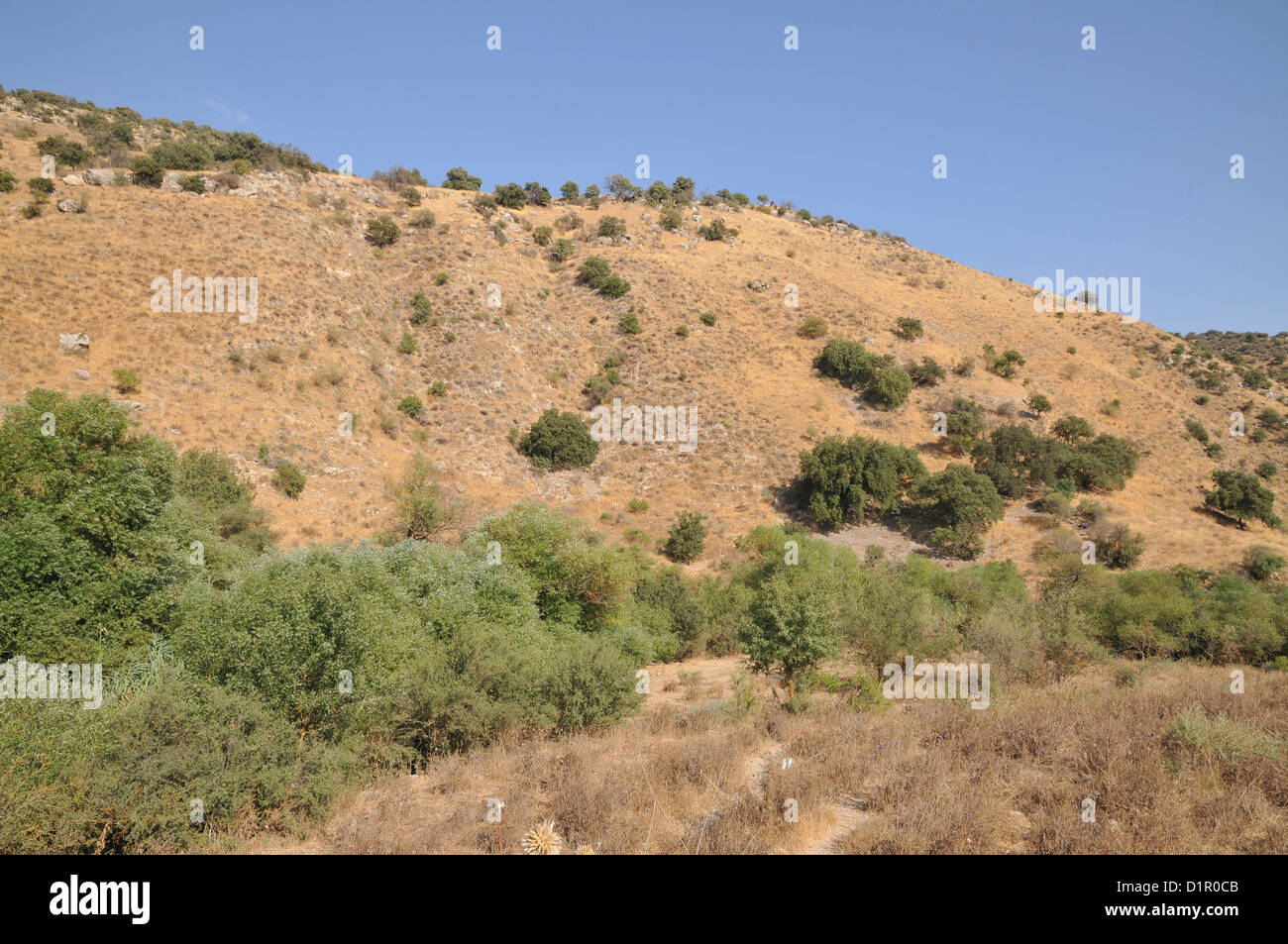 Israel, südlichen Golan-Höhen, Landschaft Stockfoto