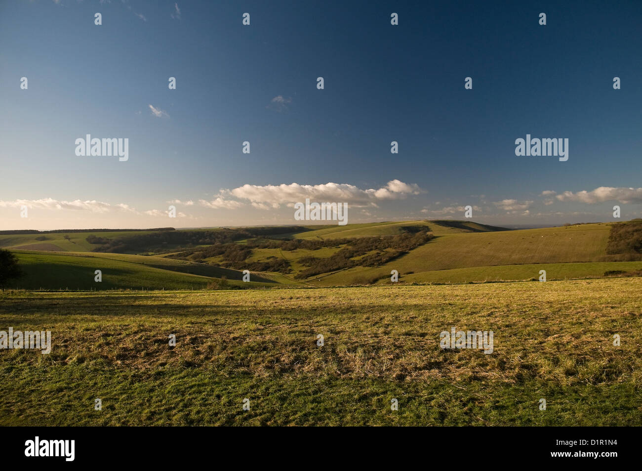 Kreide Hügel der South Downs National Park in der Nähe von Eastbourne, East Sussex, UK Stockfoto