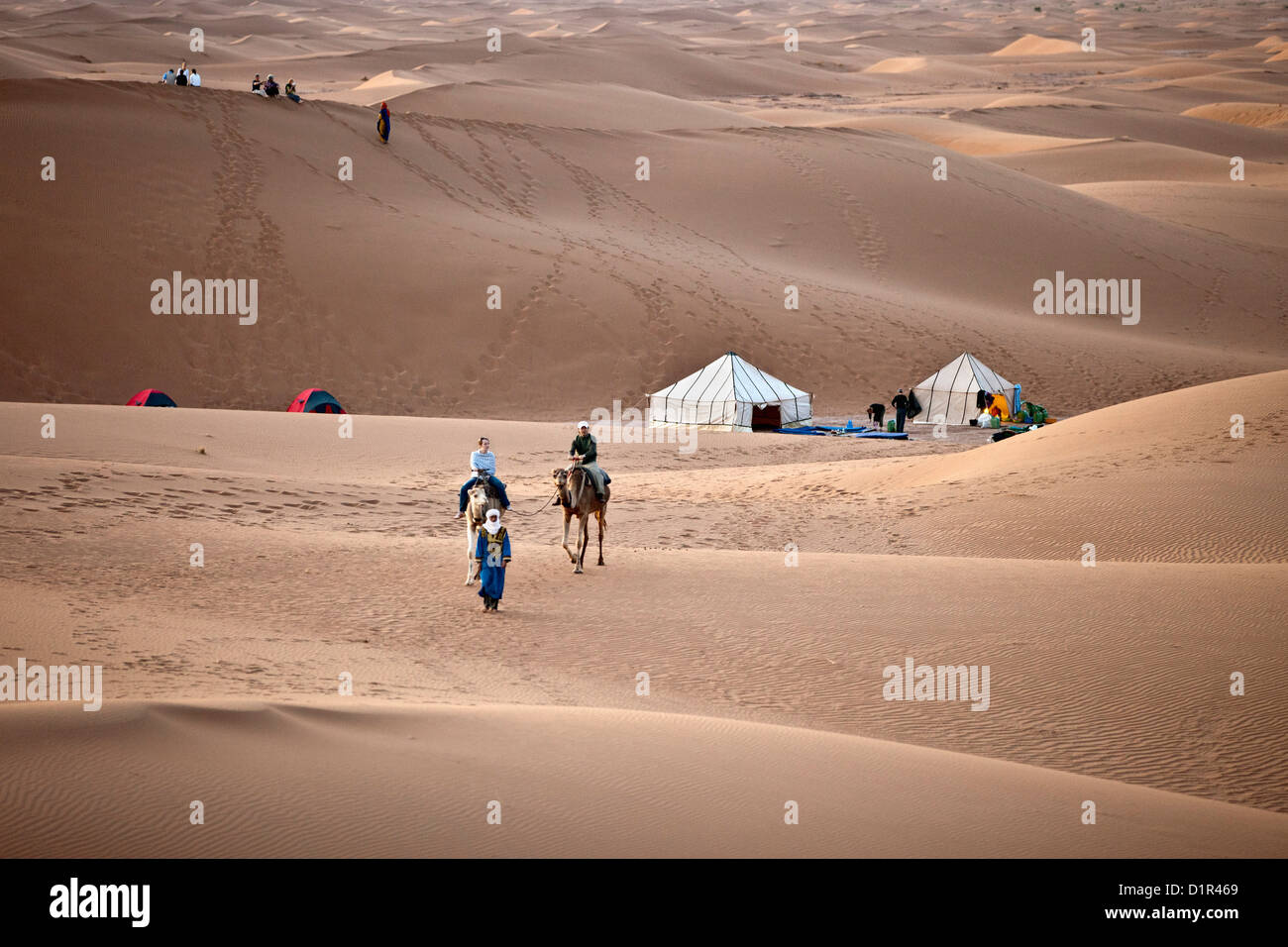 Marokko, M' Hamid, Erg Chigaga Dünen. Wüste Sahara. Kameltreiber, Kamel-Karawane und Touristen verlassen Camps, biwakieren. Stockfoto