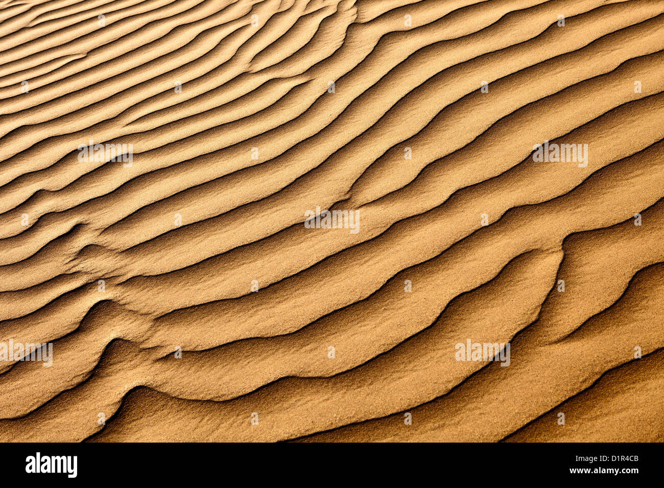 Marokko, M' Hamid, Erg Chigaga Dünen. Wüste Sahara. Rippelmarken Detail. Stockfoto