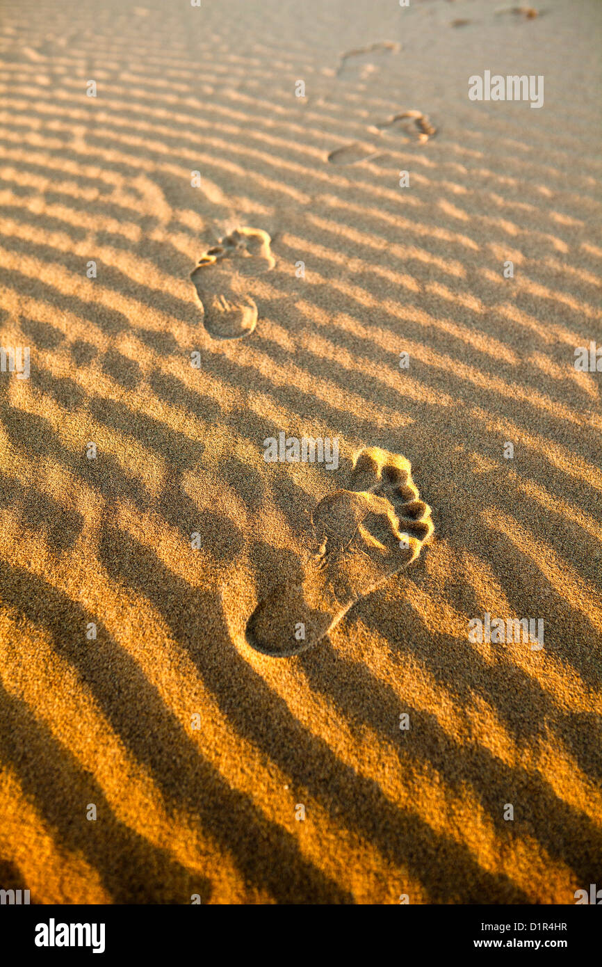 Marokko, M' Hamid, Erg Chigaga Dünen. Wüste Sahara. Rippelmarken Detail. Fußstapfen. Stockfoto