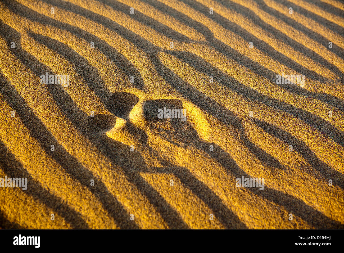 Marokko, M' Hamid, Erg Chigaga Dünen. Wüste Sahara. Rippelmarken Detail. Fußstapfen. Stockfoto