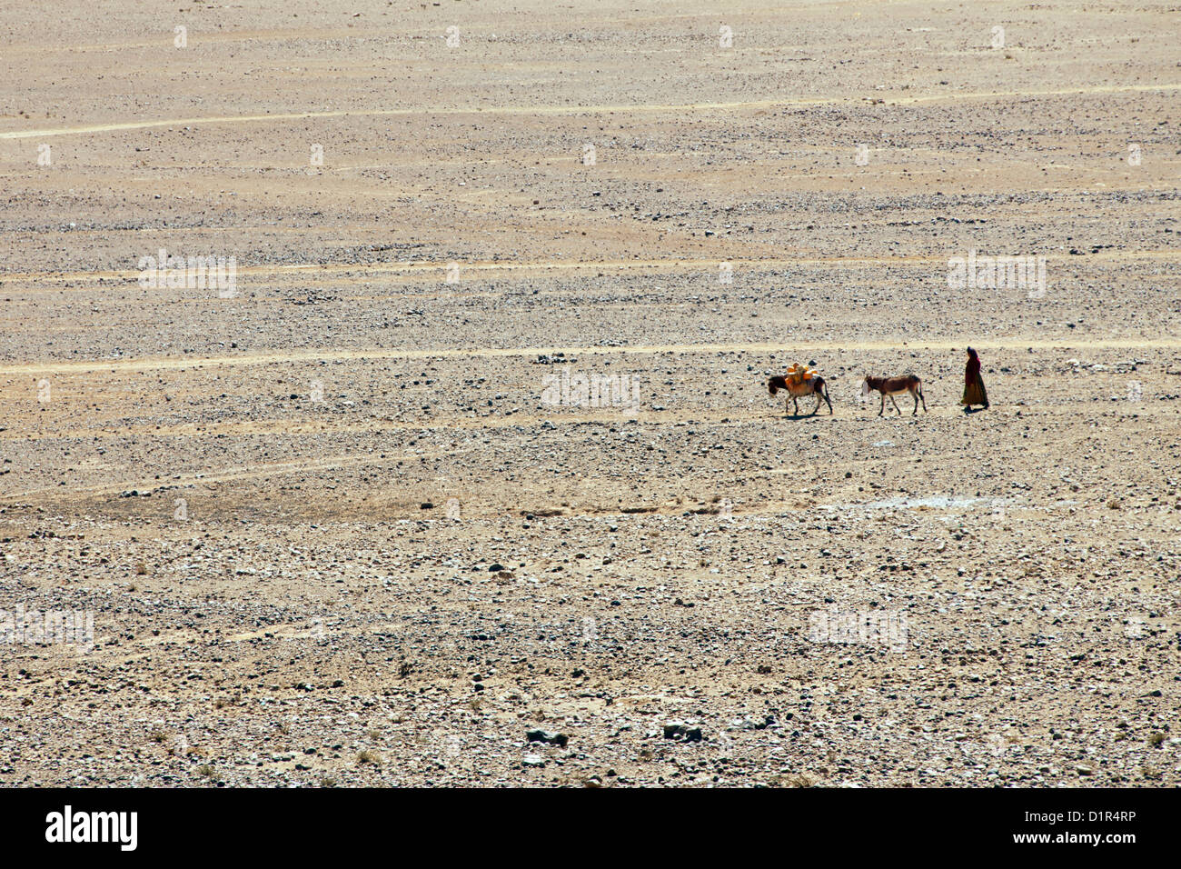 Marokko, M' Hamid, Erg Chigaga Dünen. Wüste Sahara. Nomad, Frau und Esel geht gut für Wasser. Stockfoto