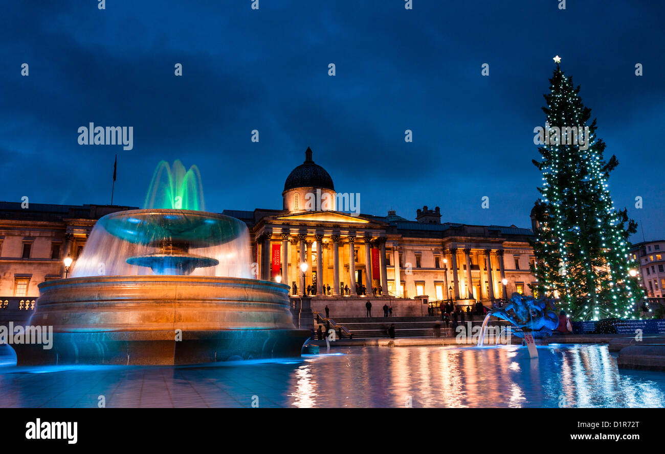 London: Weihnachtsdekoration der Trafalgar Square in London Stockfoto