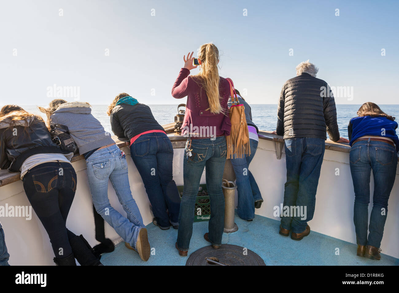 Whale-watching vor der Küste Newport Beach, Kalifornien. Stockfoto