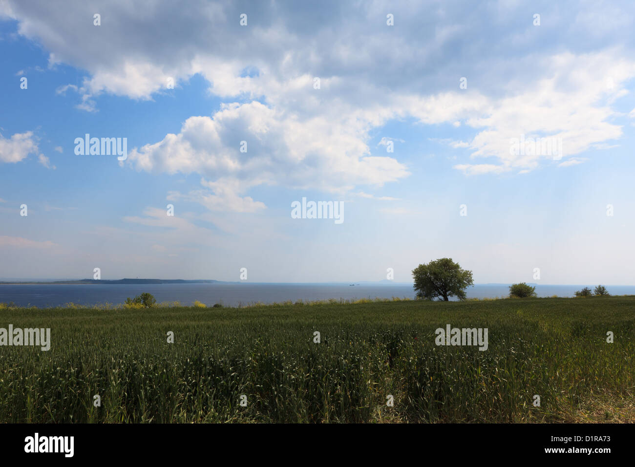 Bewölkter Himmel, Meer und große Felder Stockfoto