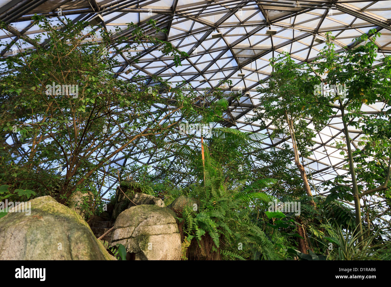 In der südamerikanischen Kuppel, Randers Regnskov Zoo, Randers, Dänemark Stockfoto