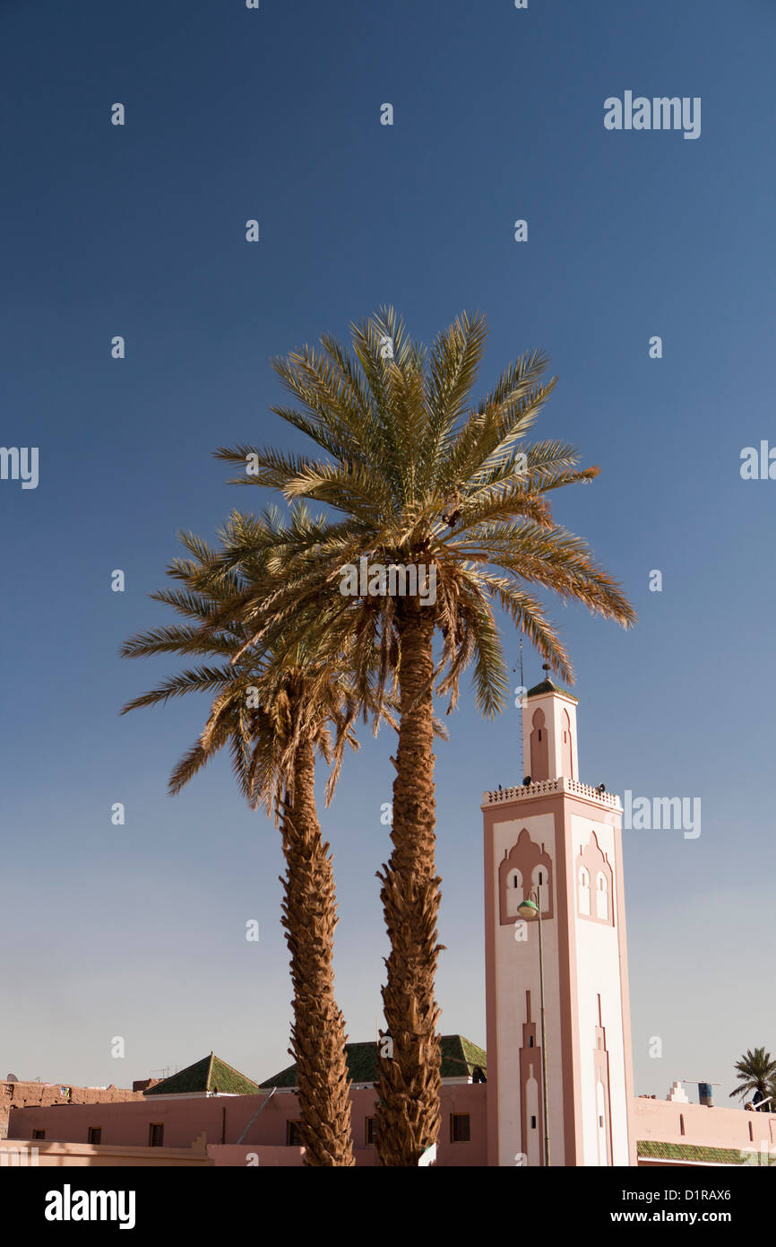 Marokko, Tamegroute, in der Nähe von Zagora, Minarett der Moschee und Palmen. Stockfoto