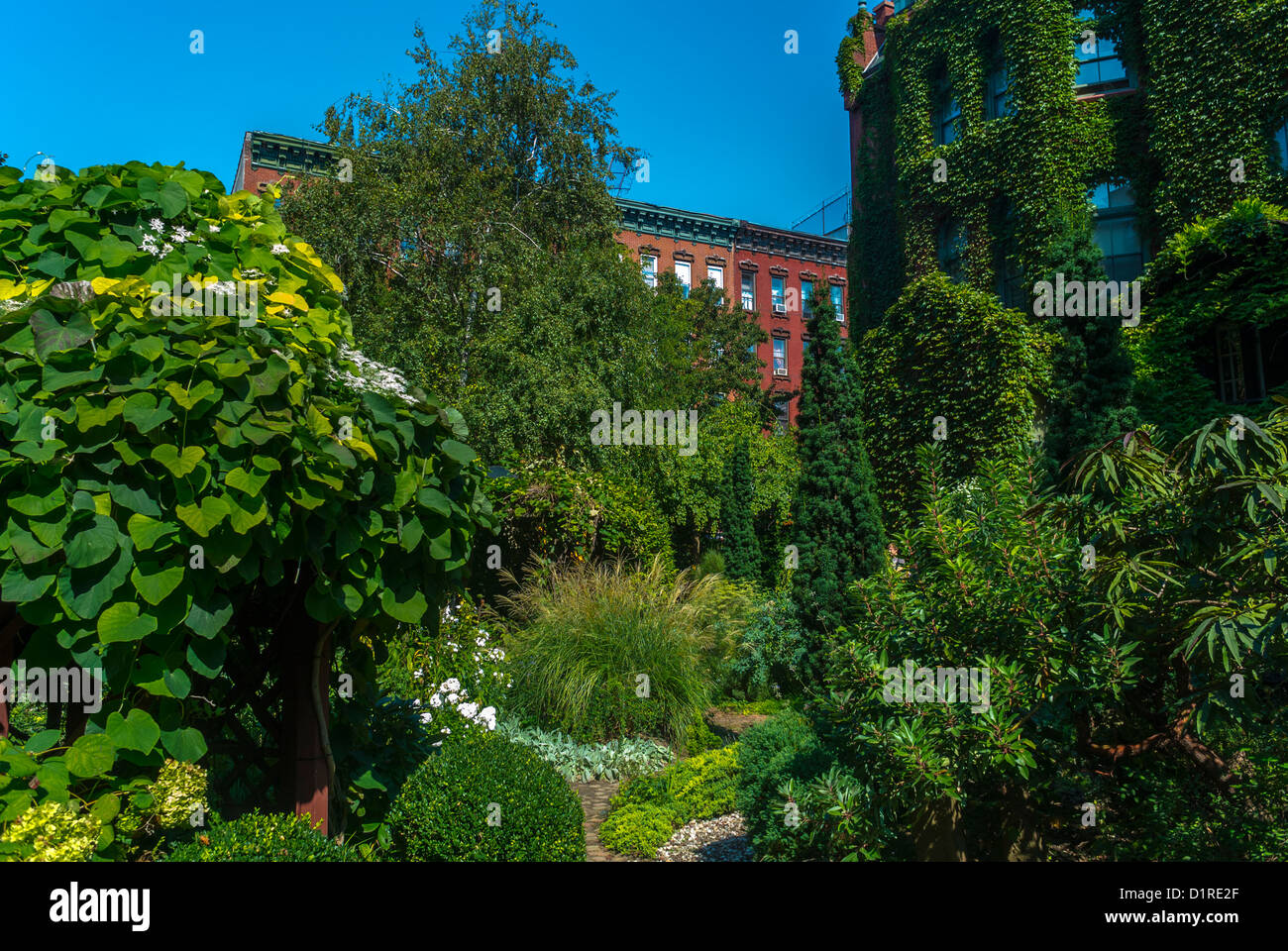 New York City, NY, USA, East Village, E. 6th St., Urban Botanical Community Garden Scenic, Sommer, lokale Viertel, Biodiversität Urbanisierung Stockfoto