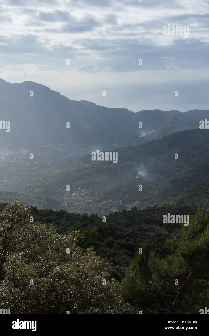 Das Tal von Soller an der Nordwestküste der spanischen Insel Mallorca Stockfoto