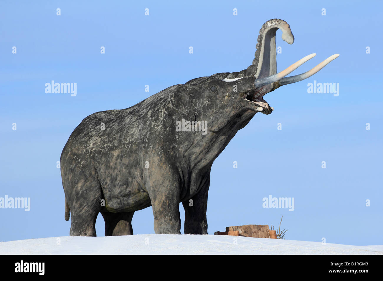 Eine amerikanische Mastodon stehen auf Schnee während einer Eiszeit Stockfoto